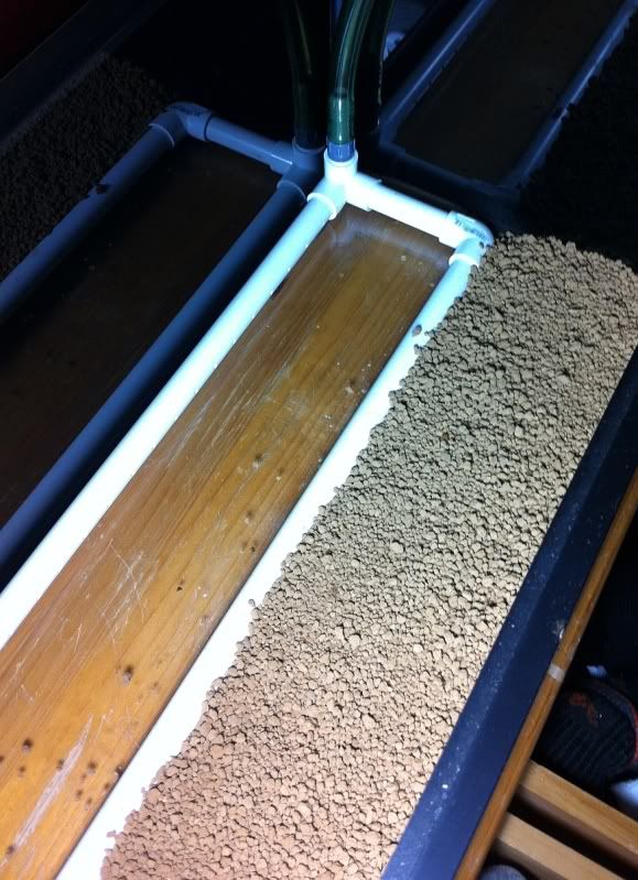 undergravel filter ? Page 2 The Planted Tank Forum